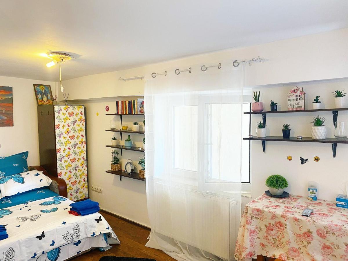 Casa Andu Apartment บูคาเรสต์ ภายนอก รูปภาพ